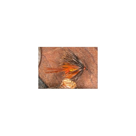 Wets GalwayExtractor $2.34