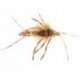 Beaded Nymphs Thurmans Thurminator Stone  Golden $2.50