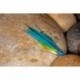 Tubes Bourach $6.80