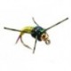 Beaded Nymphs Tung RL C N Copper Bob  Chartreuse $2.50