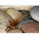 Tubes Pot BellyPi Copper $6.80