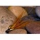 Tubes PBP W Gunn $6.80
