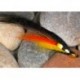 Tubes Willie Dog CH $6.80