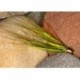 Tubes Golden Gunn CH $6.80
