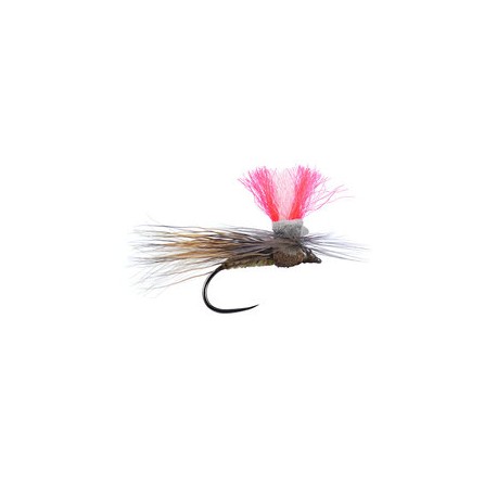Barbless Flies Austrian Natural Sedge BL $2.50