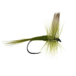 Barbless Flies Olive Dun BL $2.50